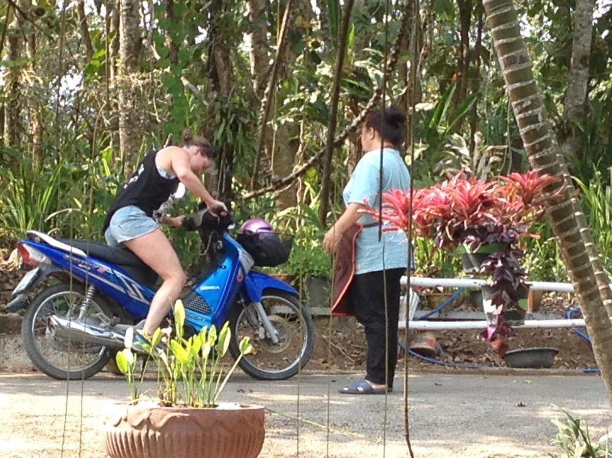 Mae Yao Resort 清莱 外观 照片
