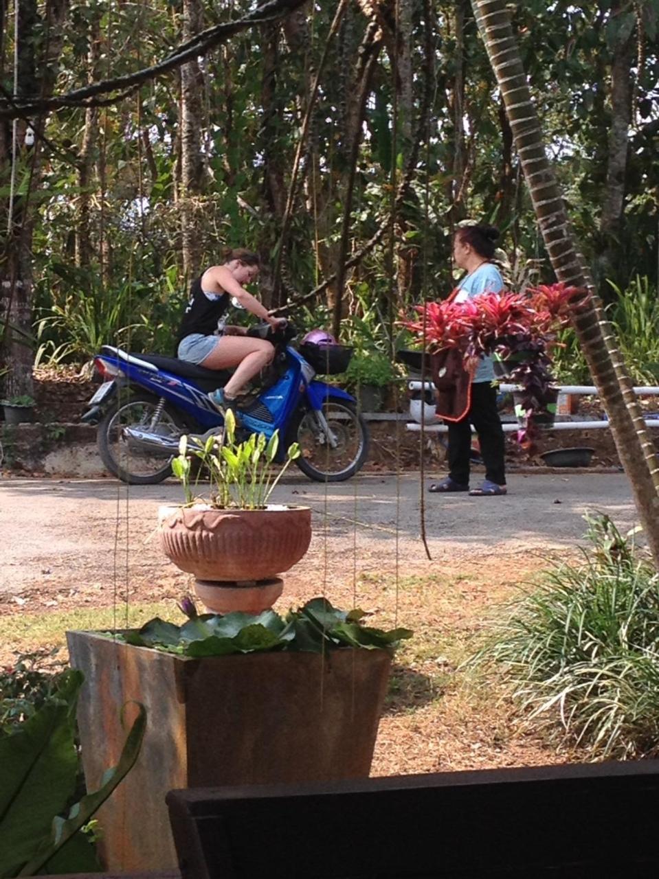 Mae Yao Resort 清莱 外观 照片